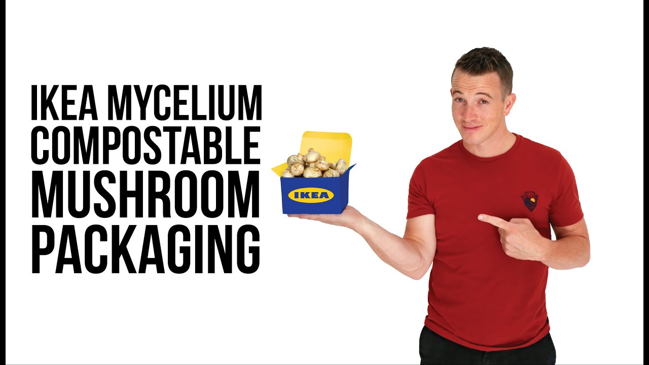 The Future of Packaging - mushroom (mycelium) packaging decomposes in weeks