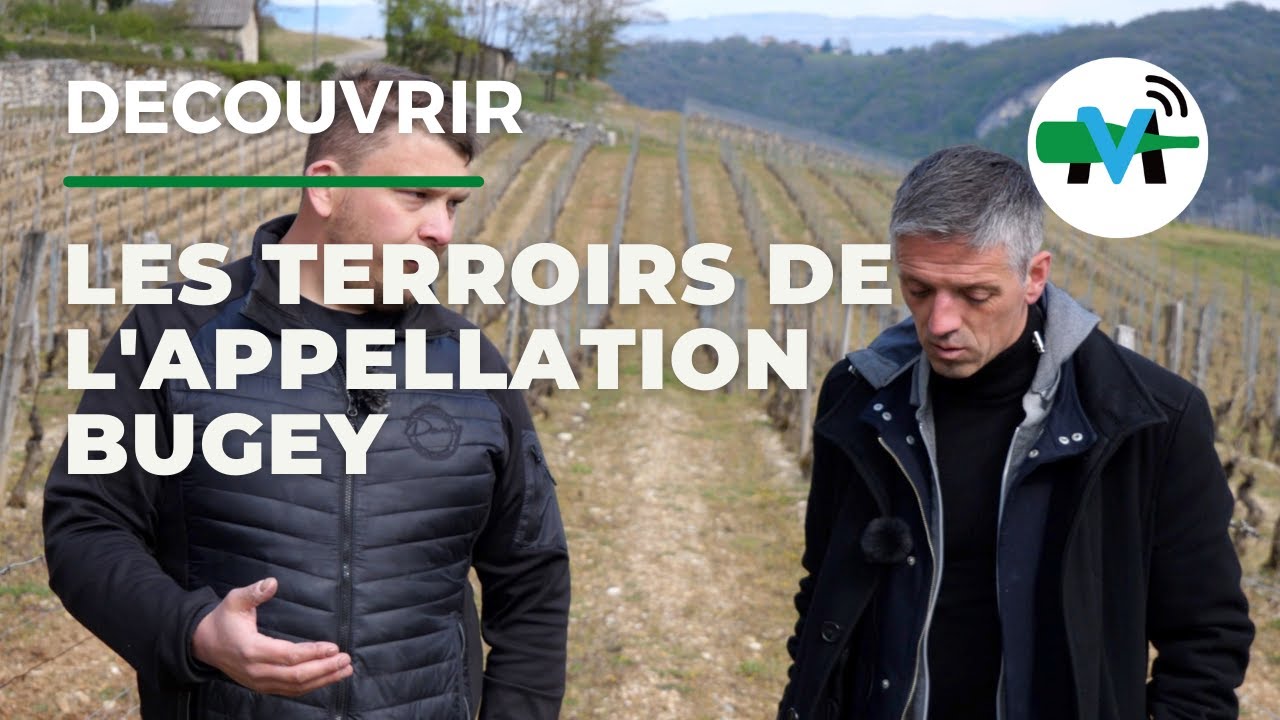 À la découverte des terroirs de Bugey