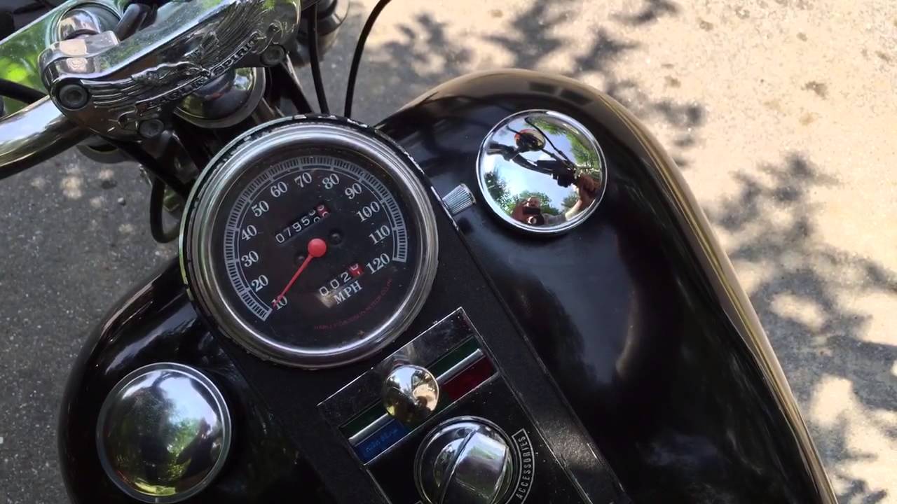 1984 softtail