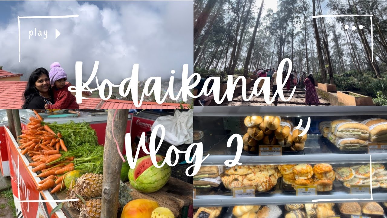 KODAIKANAL PART 2 VLOG | POOMBARAI  | MANNAVANUR LAKE #shortvideo #youtubeshorts 