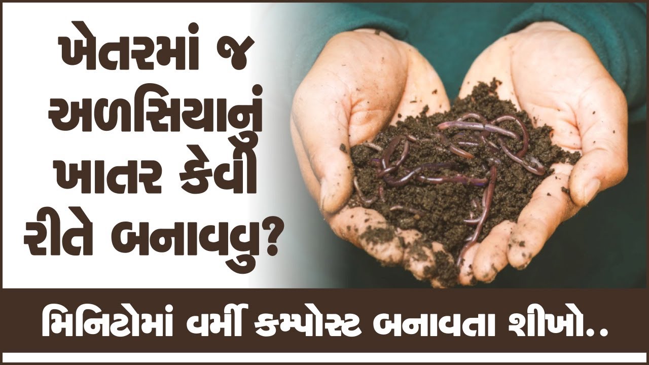 ખેતરમાં જ અળસિયાનું ખાતર બનાવતા શીખો | Vermicompost | How to make vermicompost?