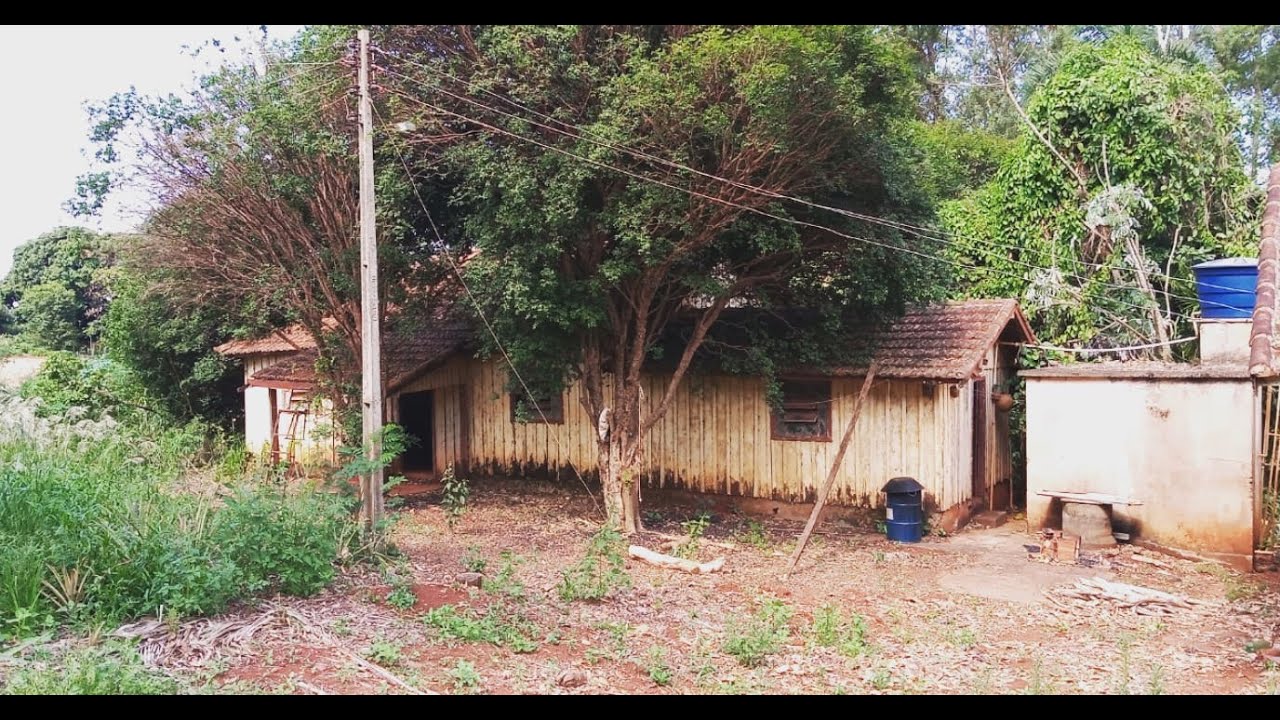 Na Casa Abandonada quase Me Lasquei com Aranhas Gigantes, Muita Coisa Antiga dentro Dela