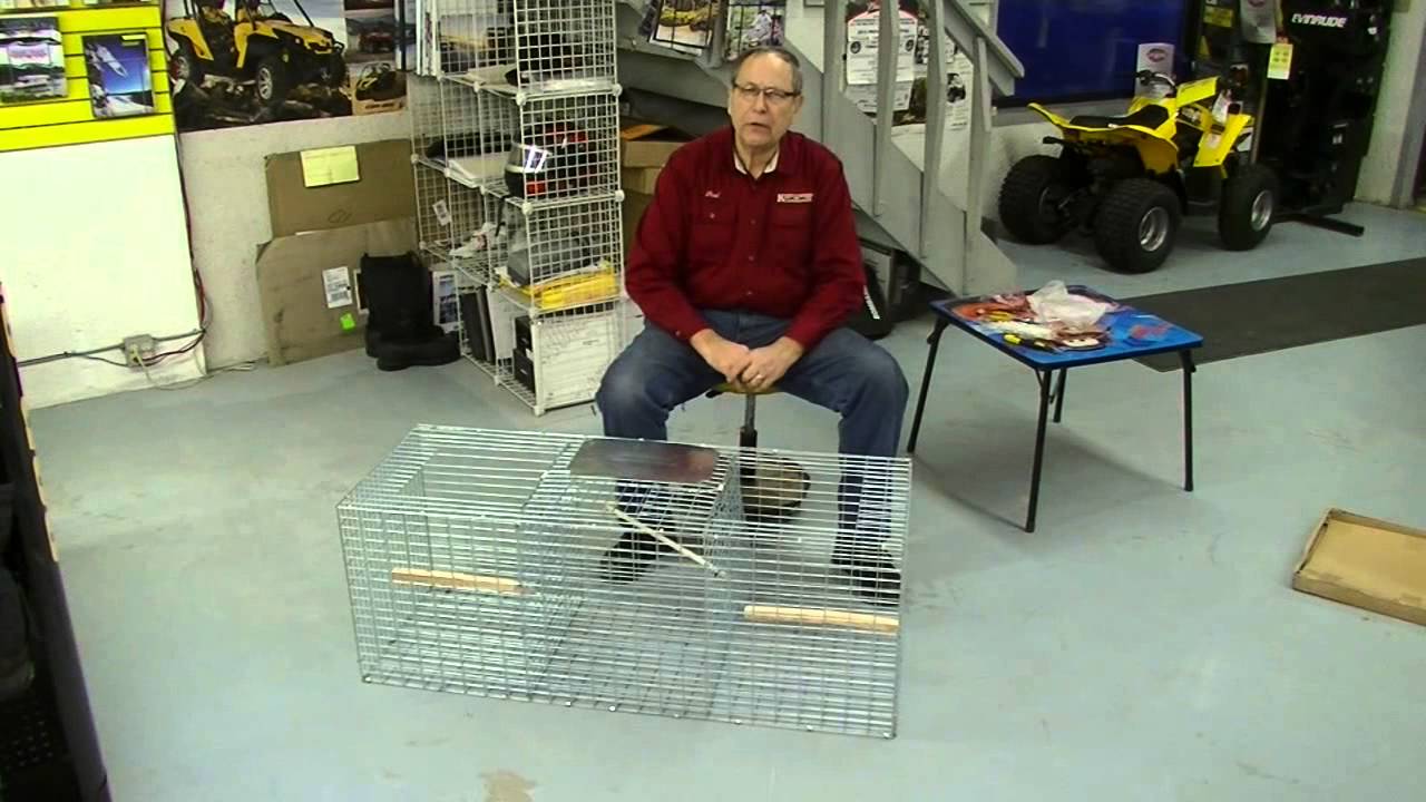How to use your Larsen Magpie Trap