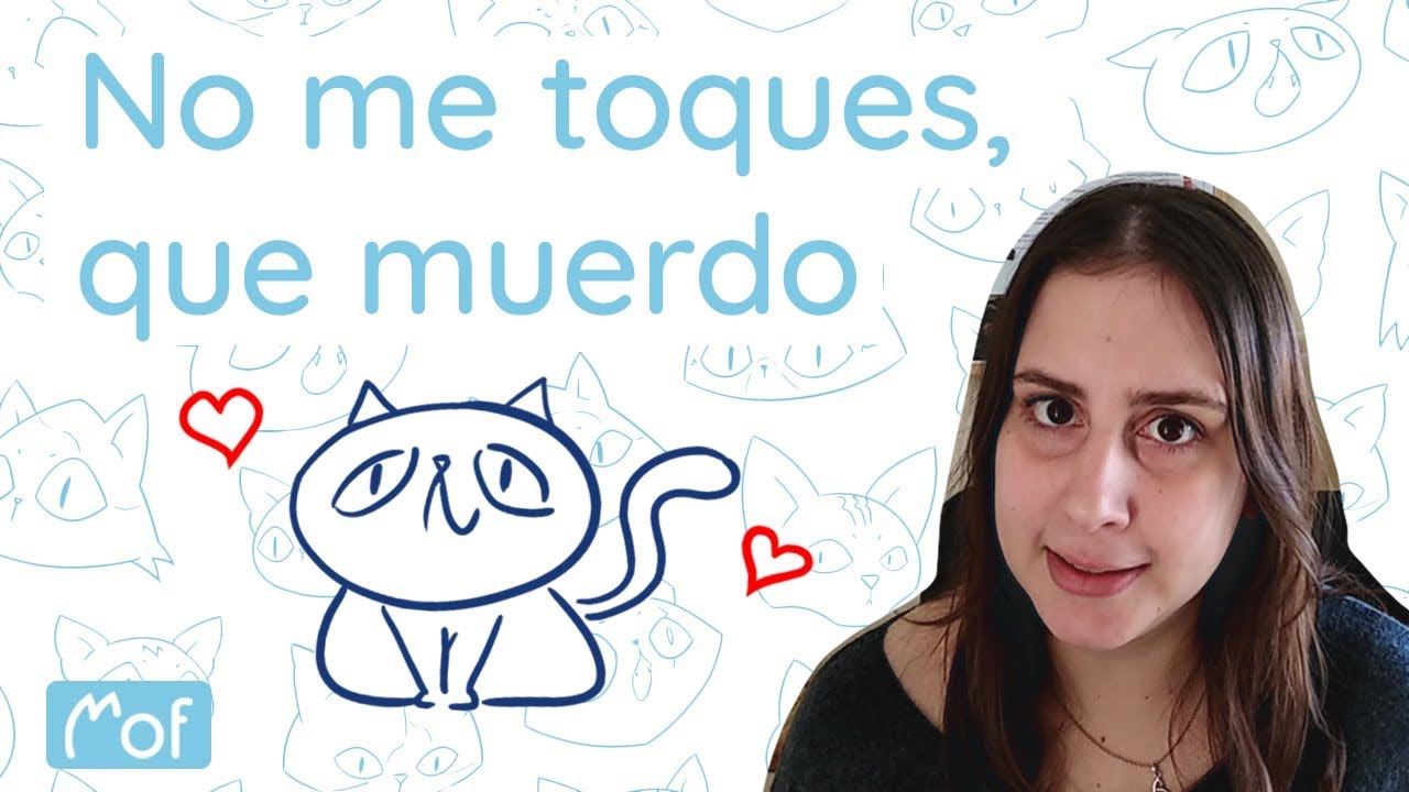 ¿Tu gato te muerde cuando lo tocas? | Mof