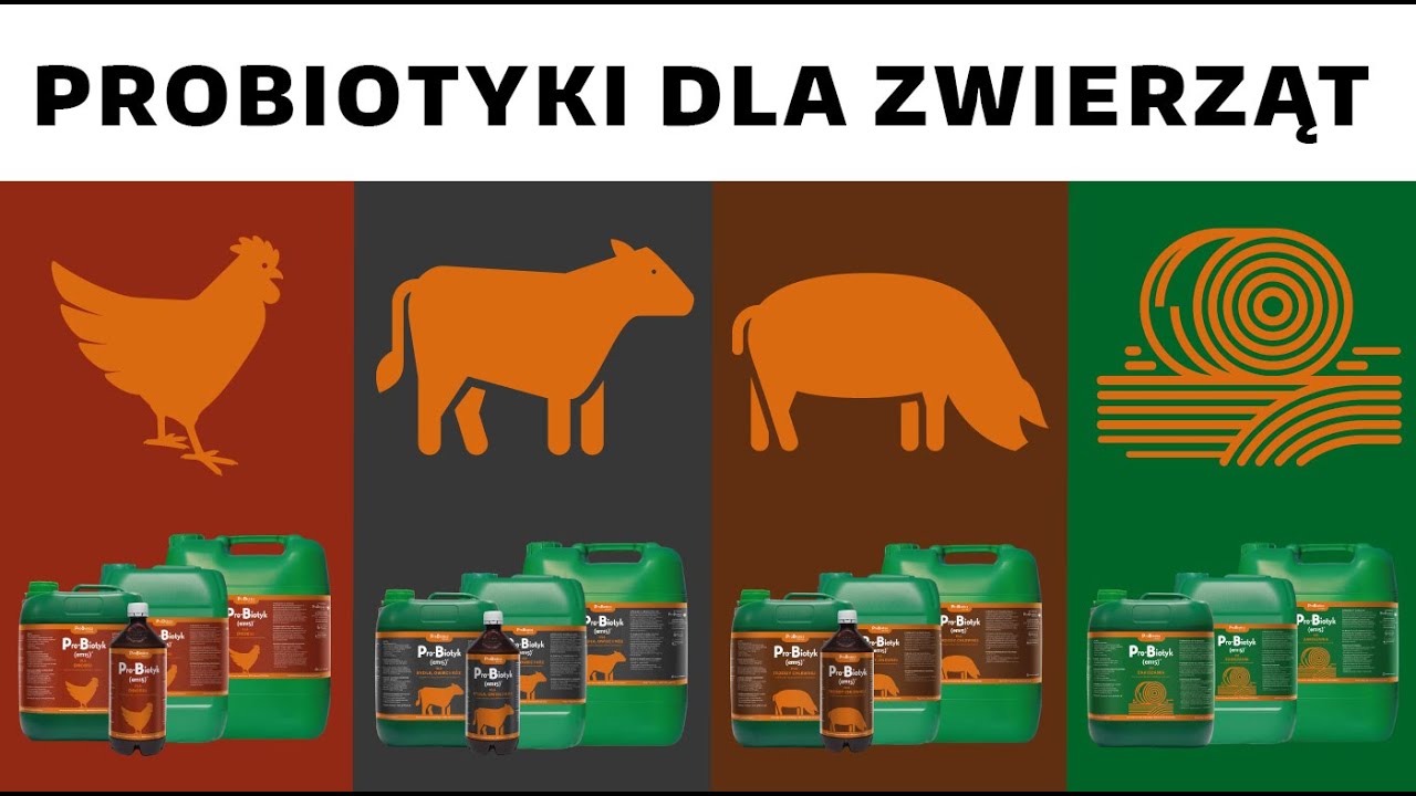 Probiotyki dla zwierząt - Pro-Biotyk (em15) - ProBiotics Polska - Jacek Lasmanowicz