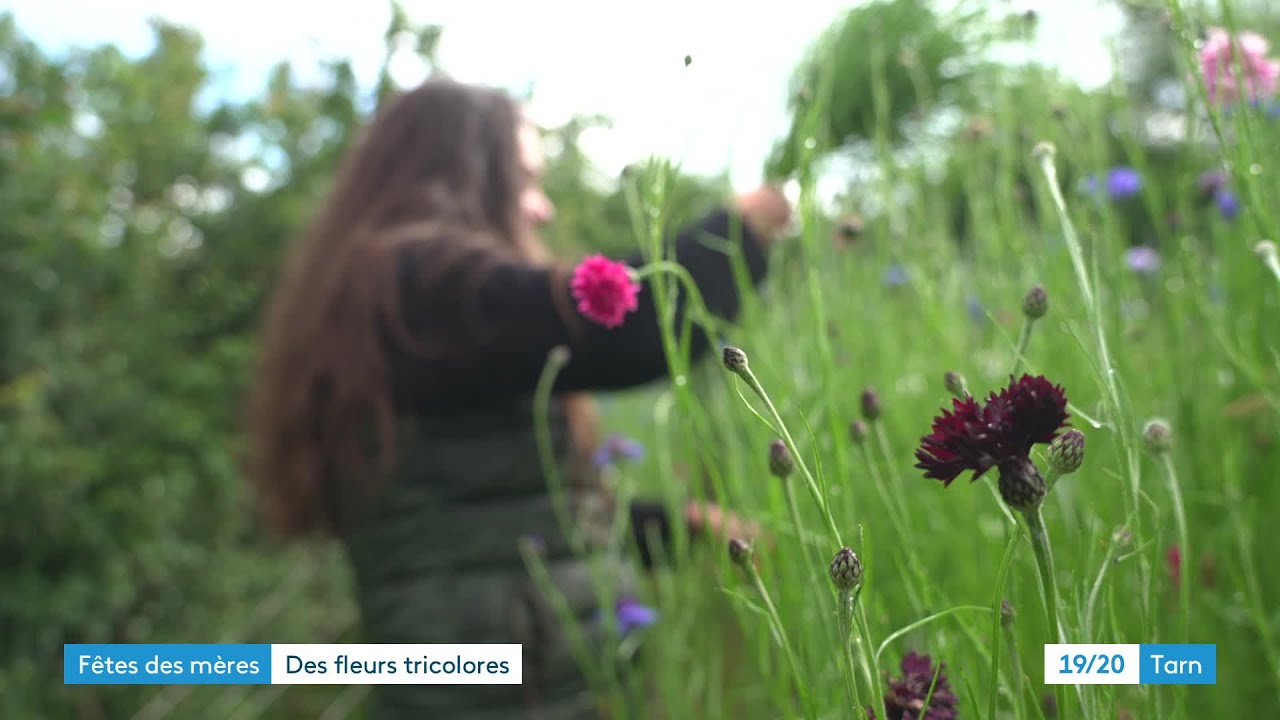 Des fleurs tarnaises et fran&ccedil;aises pour la f&ecirc;te des m&egrave;res