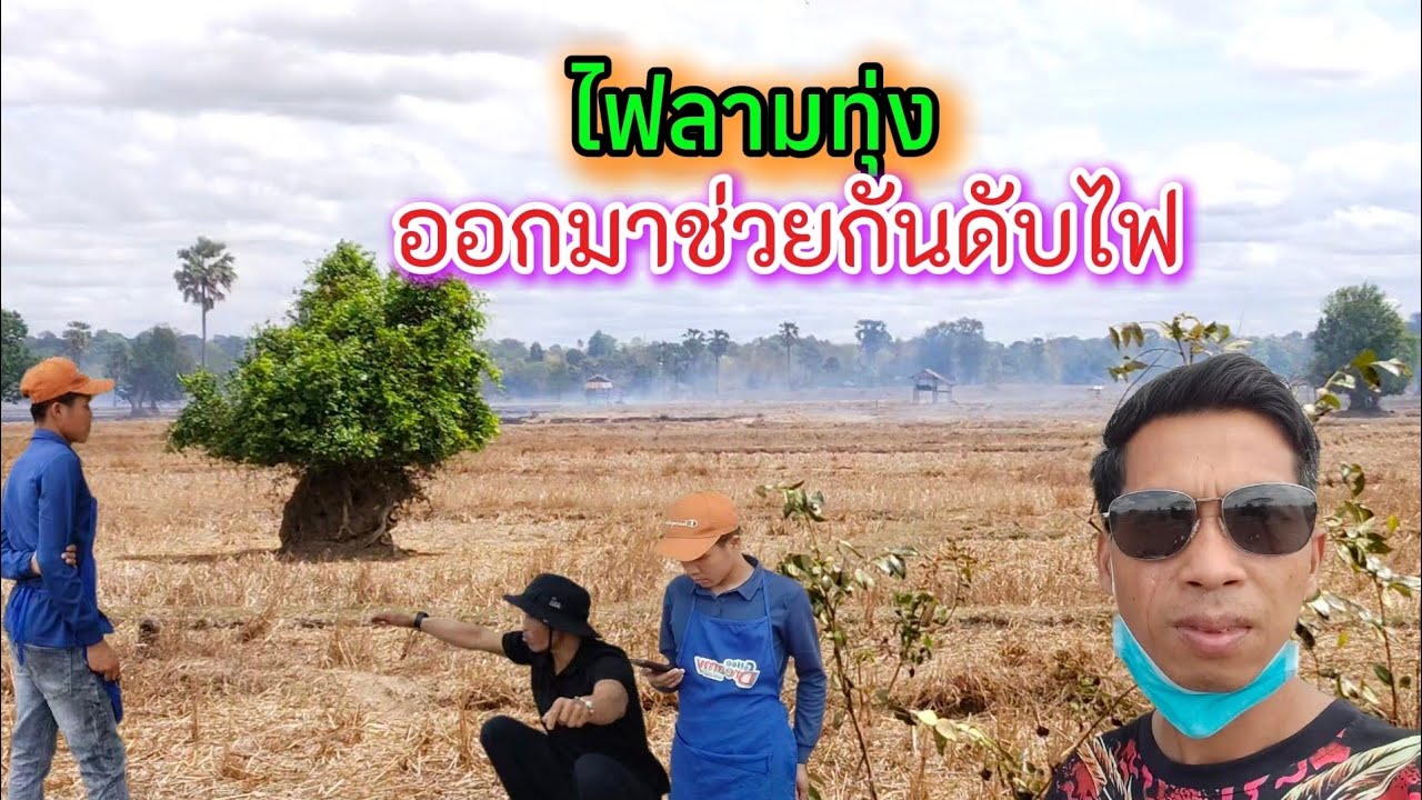 ไฟไหม้ทุ่งนายามแล้ง // ออกมาช่วยกันดับไฟลามทุ่ง