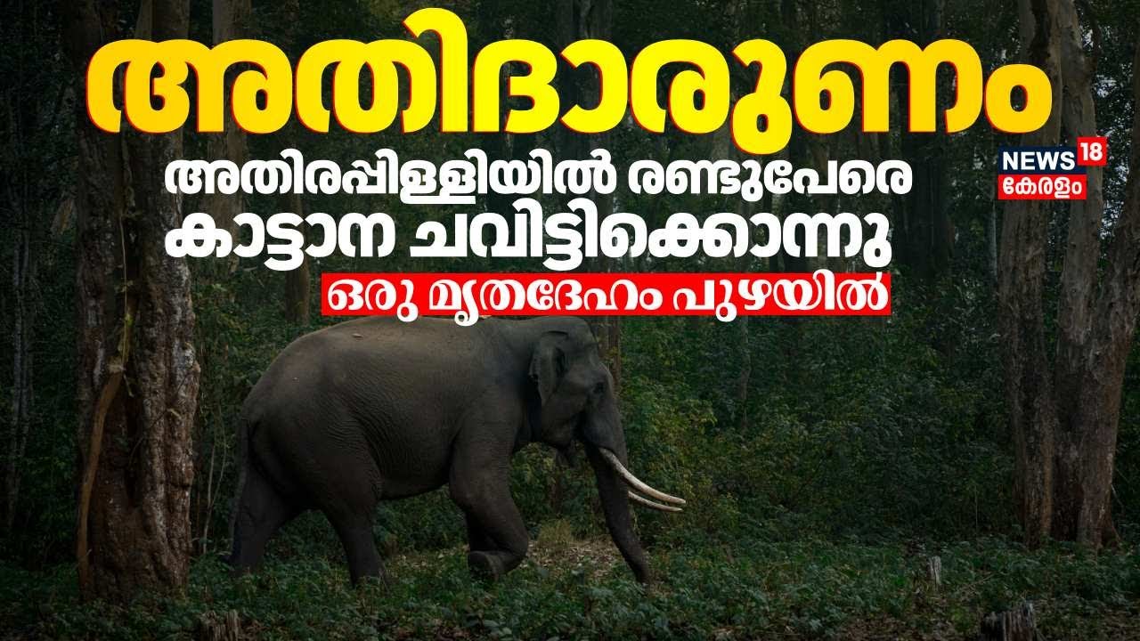 അതിരപ്പിള്ളിയിൽ രണ്ടുപേരെ ‌കാട്ടാന ചവിട്ടിക്കൊന്നു;ഒരു മ‍ൃതദേഹം പുഴയിൽ |Elephant Attack Athirappilly