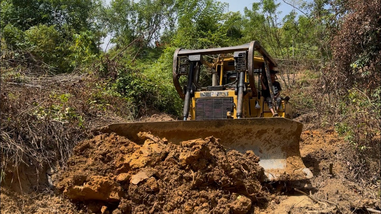 CAT D6R XL Bulldozer Leveling Place For Plantation Road Construction in the American Mountains.