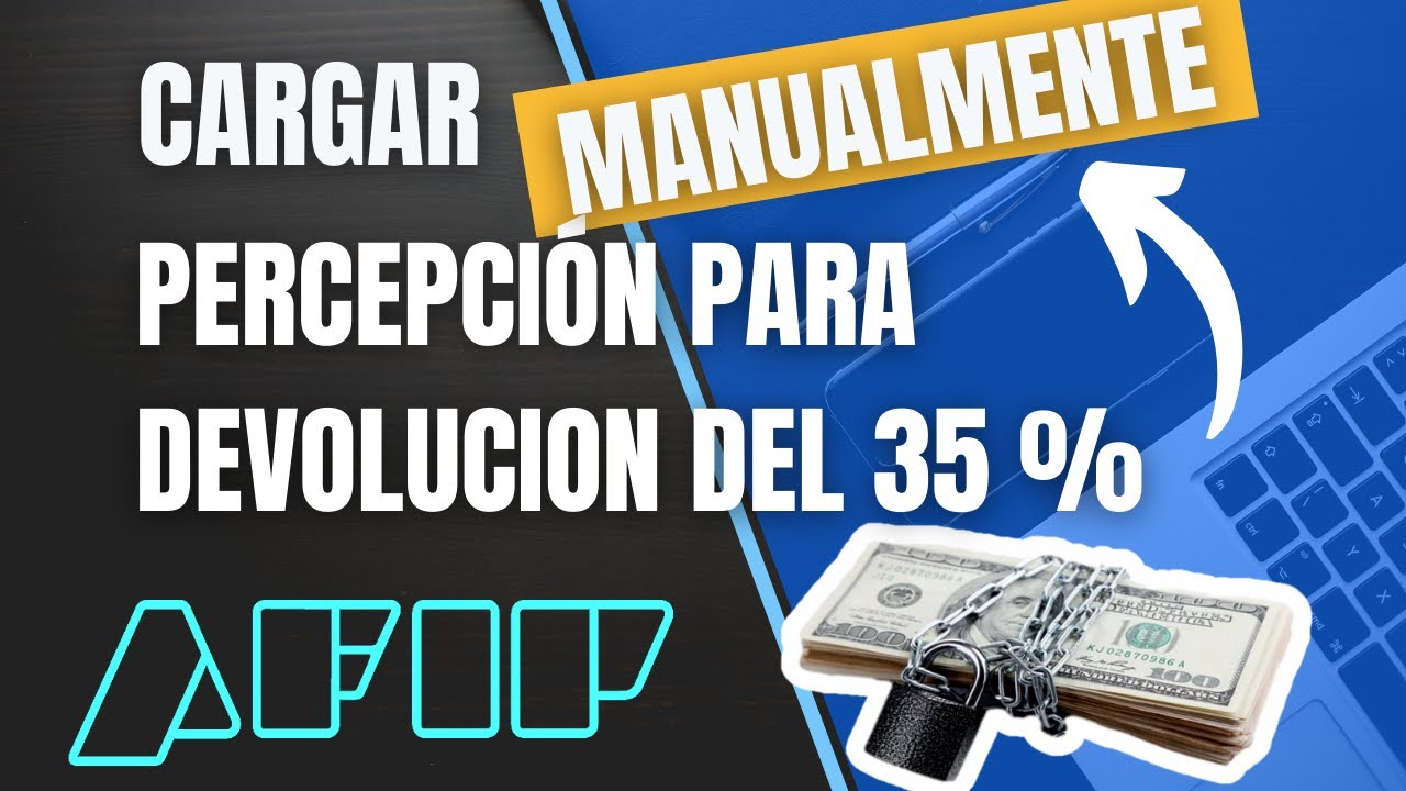 CARGAR PERCEPCI&Oacute;N MANUALMENTE DE AFIP