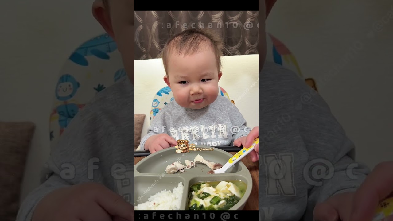 Ăn trưa Cafe ơi! 💚🧸Menu trưa: 🐟🍚🍲