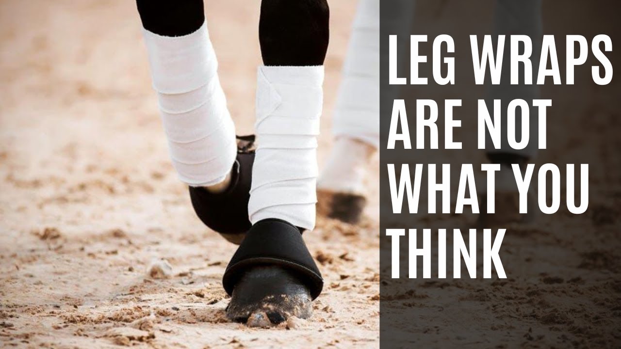 Why the Dutch BANNED Leg Wraps | Equestrian News | Equestrian Education