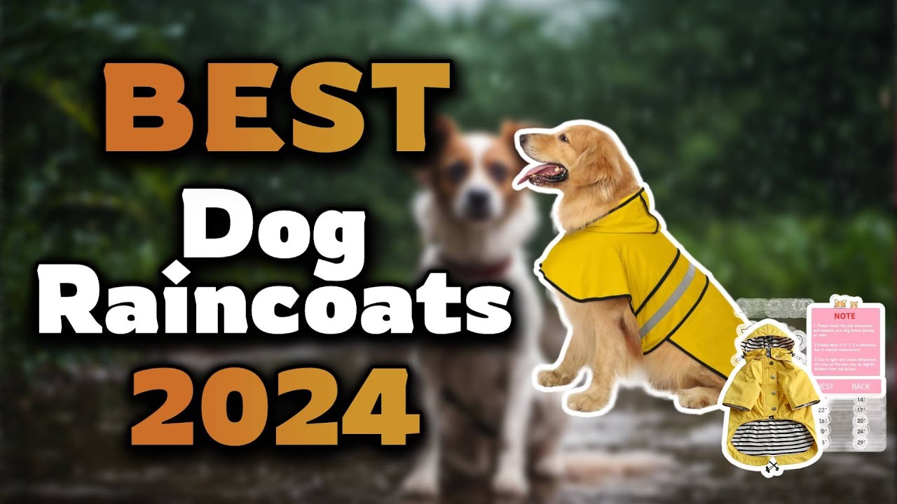 Top Best Dog Raincoats in 2024 & Buying Guide - Must Watch Before Buying!