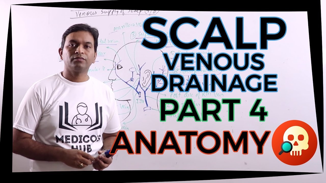 ANA.HNB.034: Scalp Part 4 - Venous Drainage | ANATOMY | Dr. Prashant Sharma