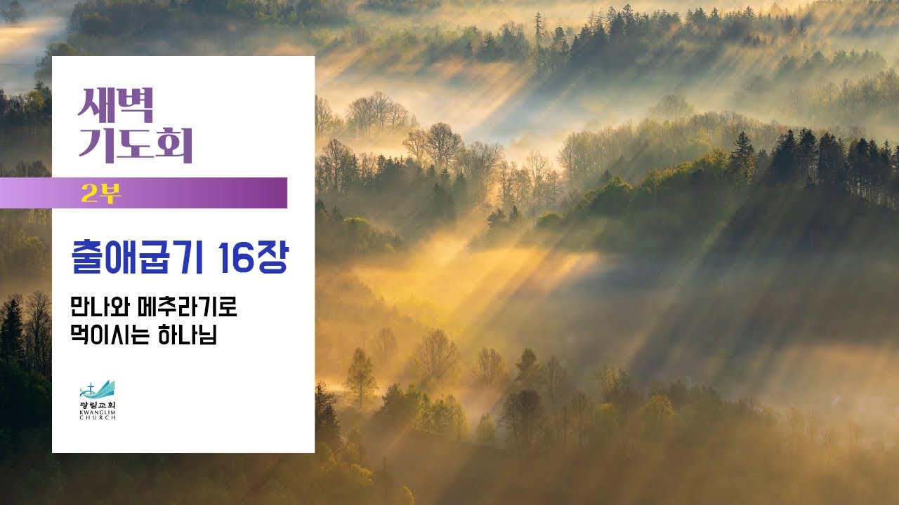 [새벽기도회] 만나와 메추라기로 먹이시는 하나님 출애굽기 16장 김덕민 목사 2026.1.25