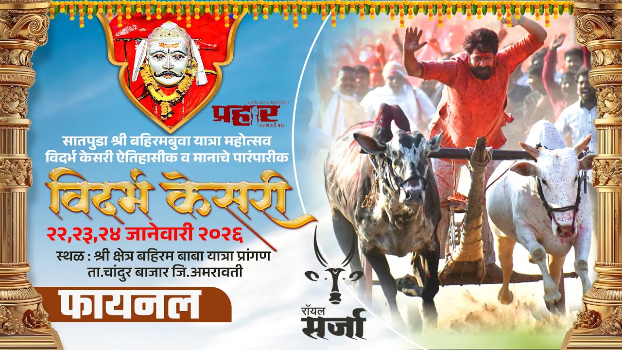🔴 Royal Sarja Live | सातपुडा श्री बहिरमबुवा यात्रा महोत्सव विदर्भ केसरी ऐतिहासीक व पारंपारीक शंकरपट