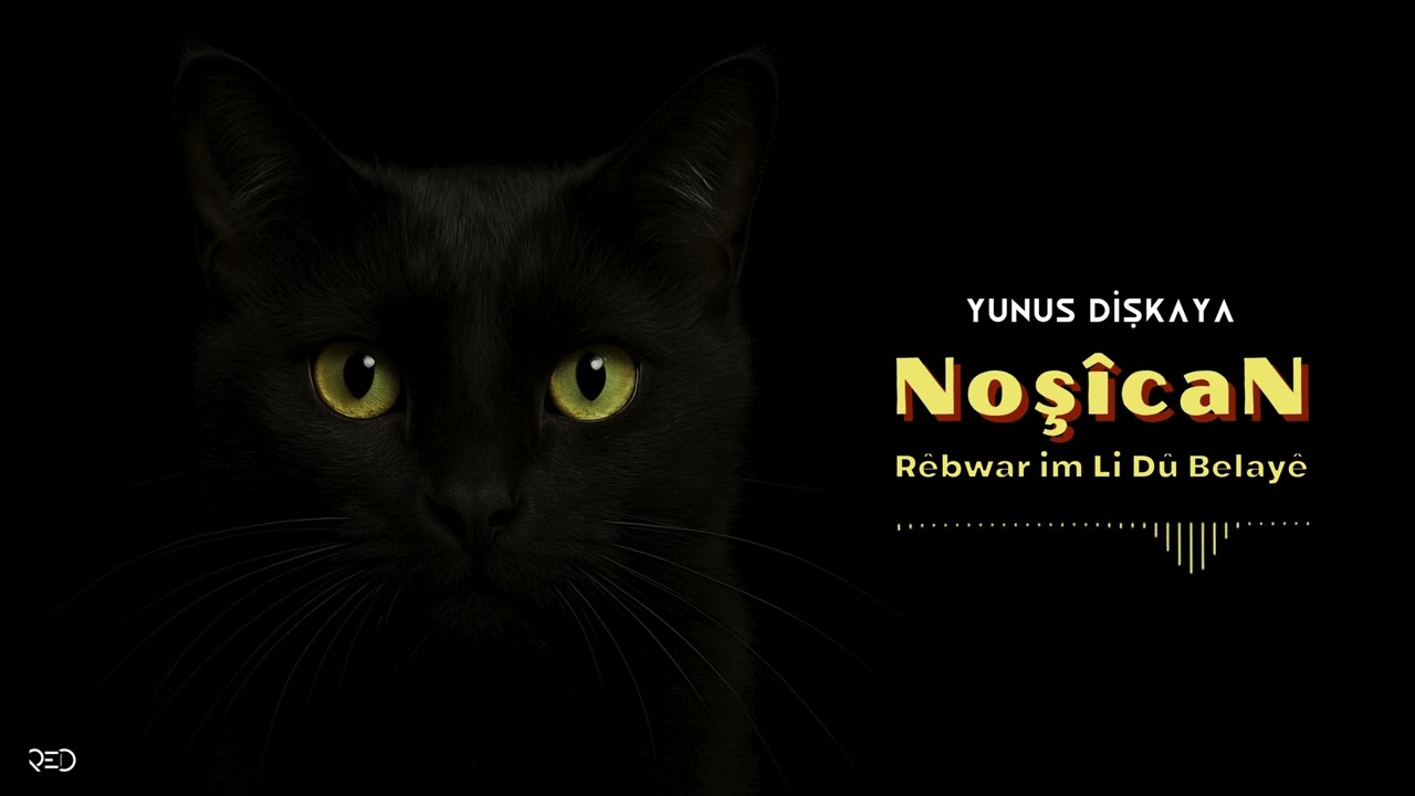 Yunus Dişkaya - Rêbwar im Li Dû Belayê  [Official Audio]