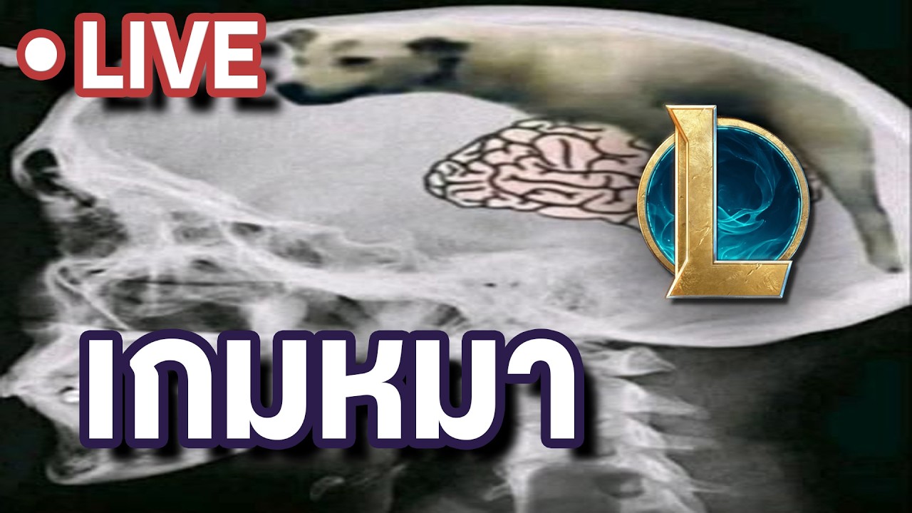เกมหมา | LOL TH !โดเนท !discord