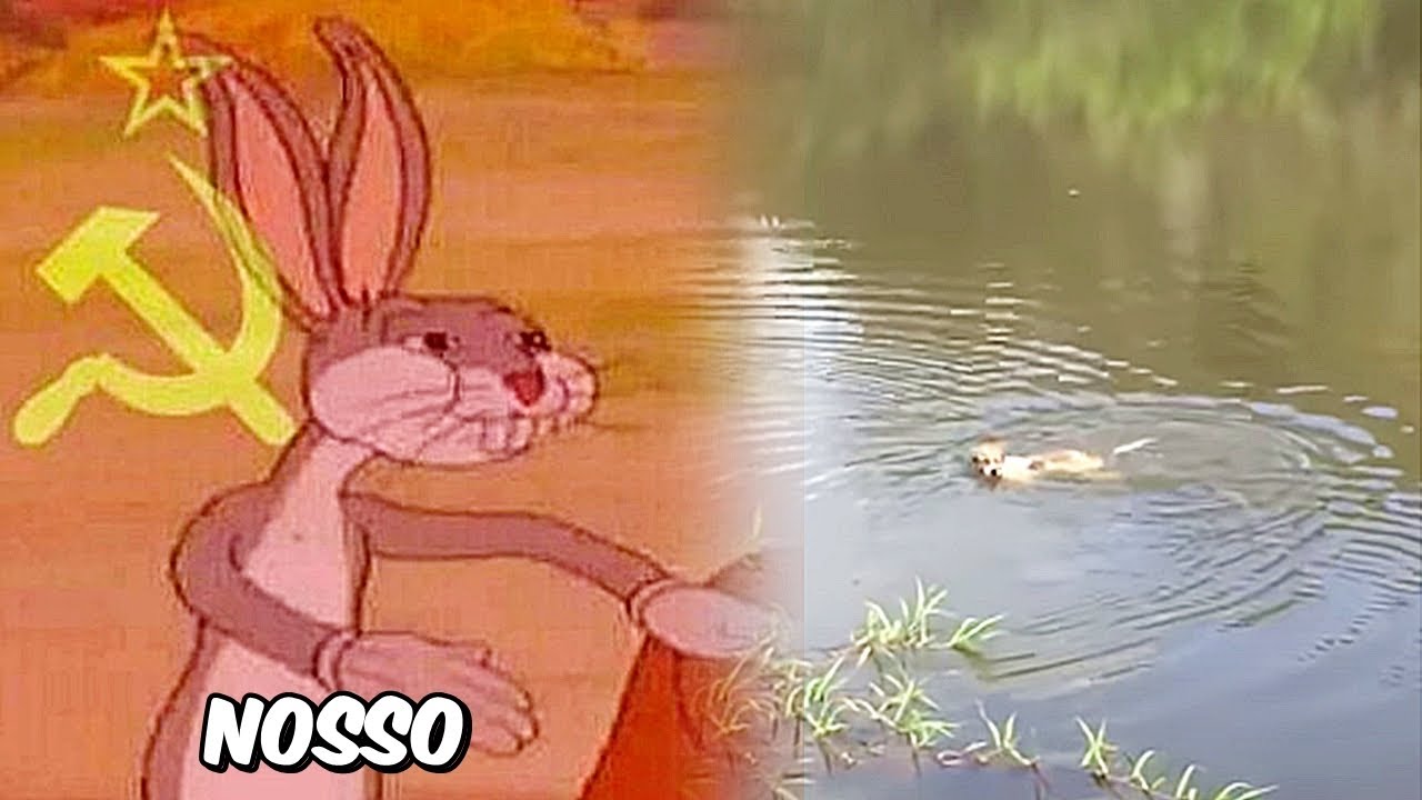 Jacaré comunista e Cachorro Fred Não ficou por isso