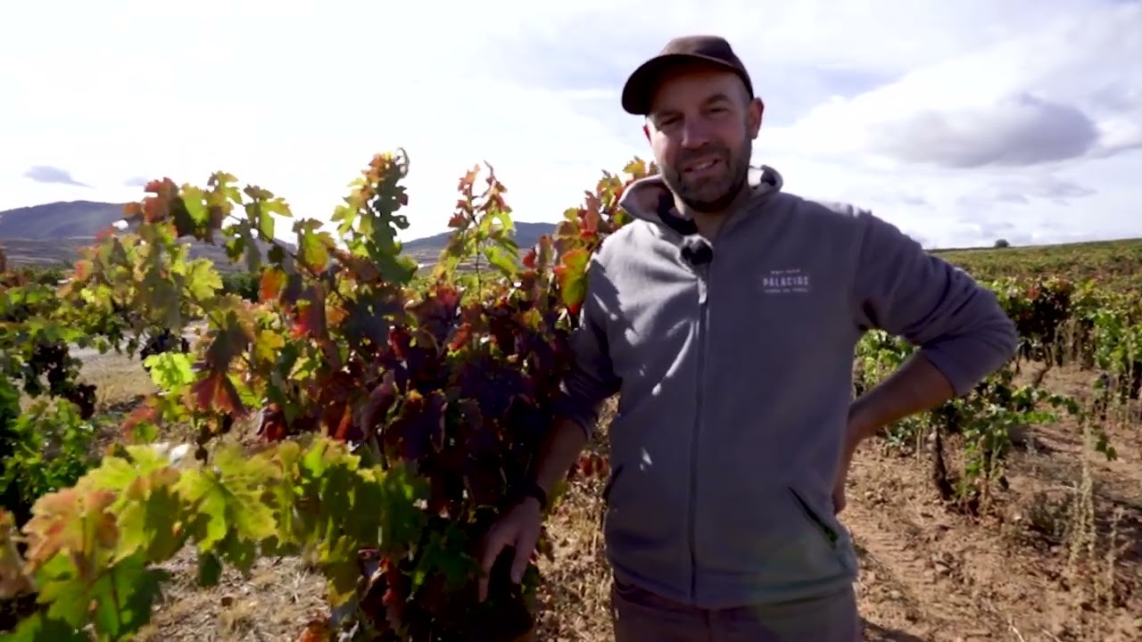 Bodegas Palacios - Finca La Asperilla