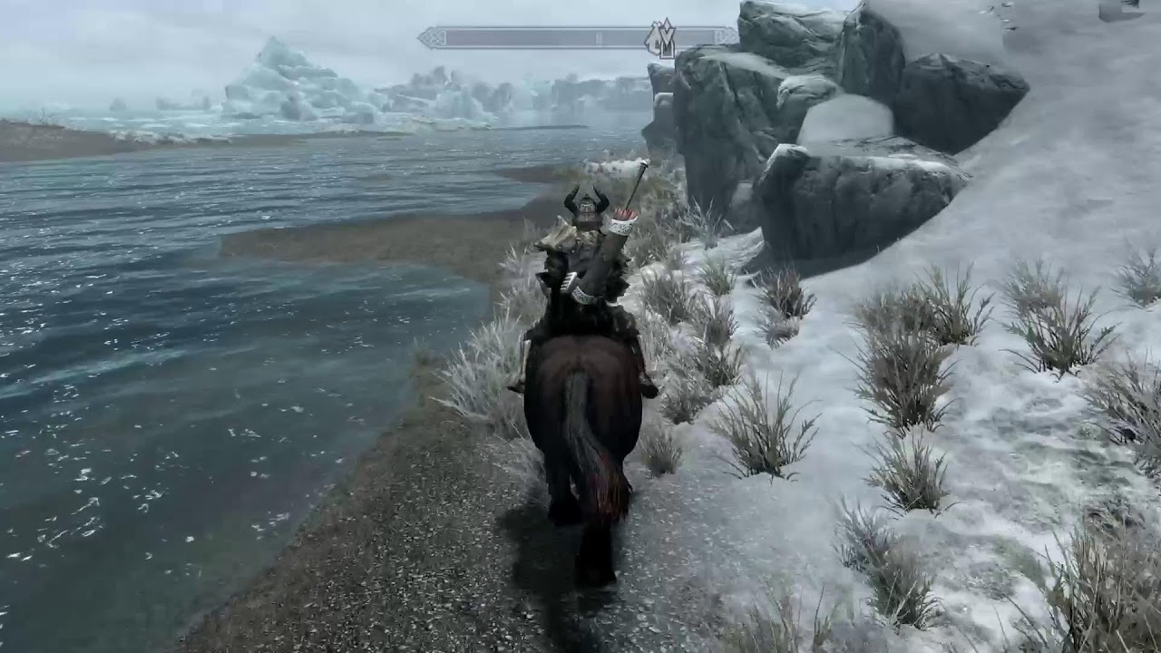 Skyrim Pets