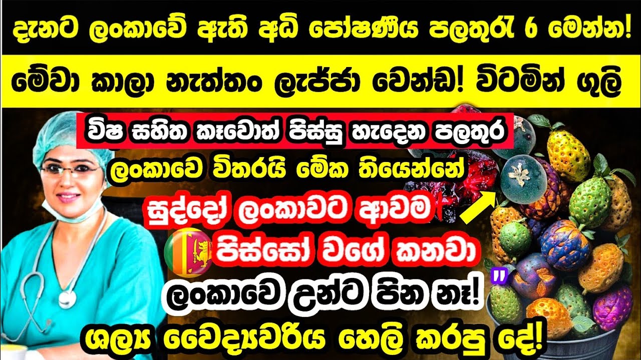 🔴විෂ සහිත කෑවොත් පිස්සු හැදෙන 250% විටමින් ඇති පලතුර!කාලා බලන්ඩ ආස හිතෙයි- Morinda citrifolia fruit