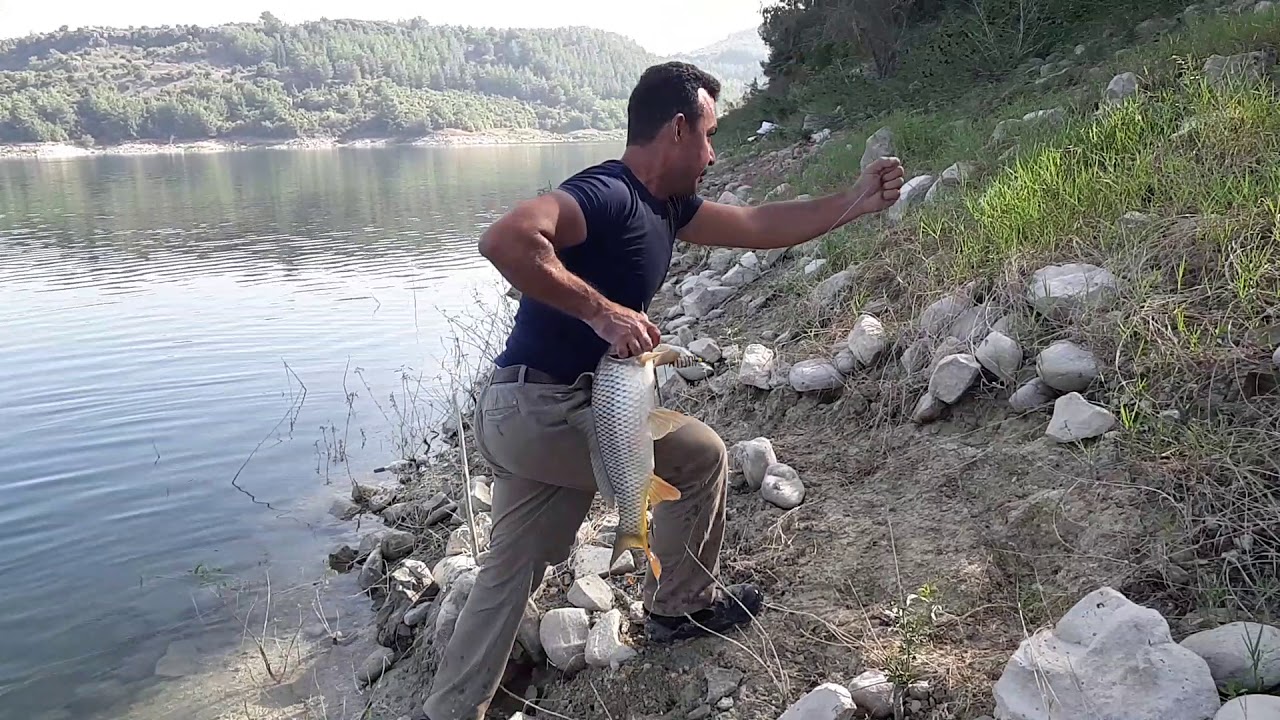 Sazan balığı avı karatepe osmaniye