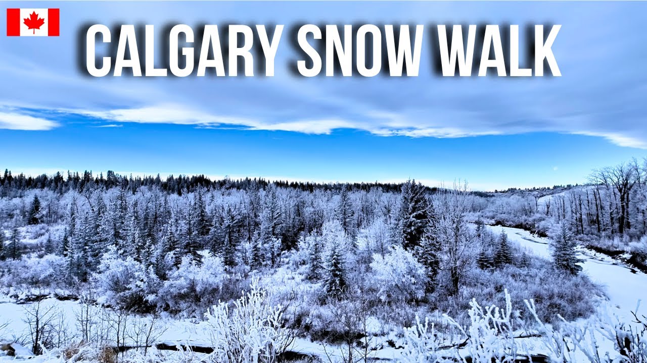 Walking Through a White Winter Forest ❄️ Calgary, Canada | 4K Snow Walk 🇨🇦
