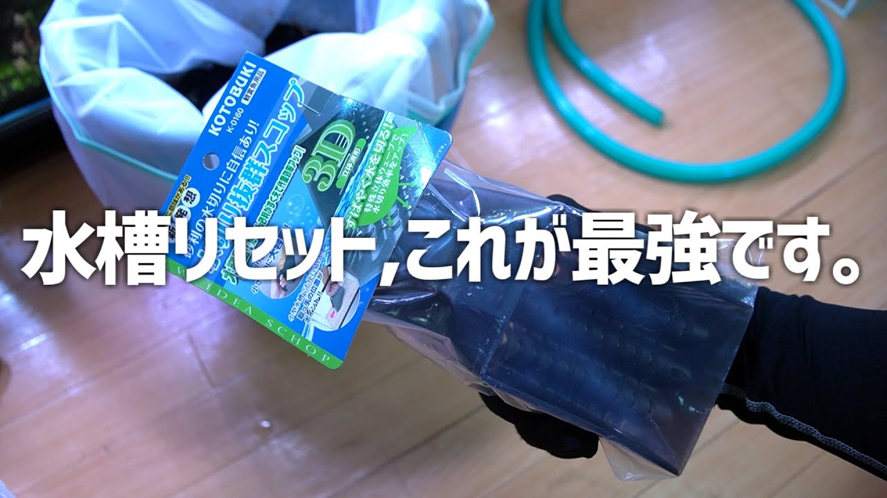 コスパ良すぎてビビる。水槽リセットが超楽になるアクア用品を実際にリセットで使ってみた。#588【アクアリウム】