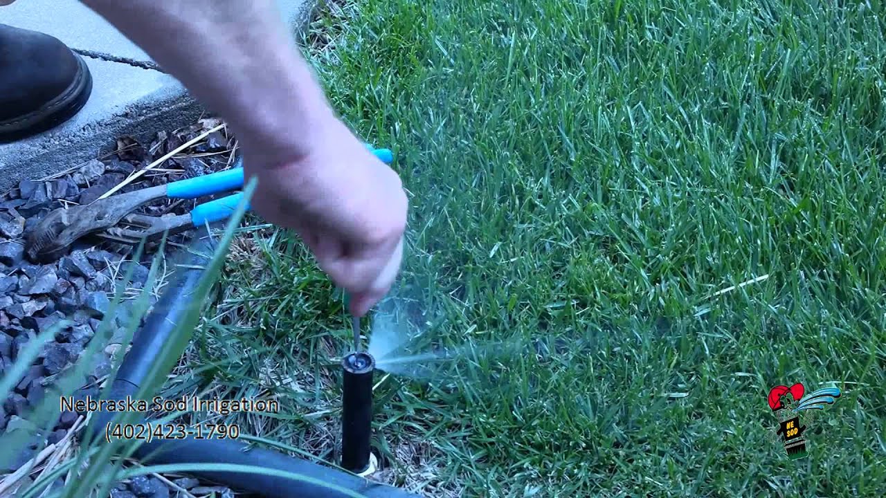 Adjusting Rain Bird Spray head