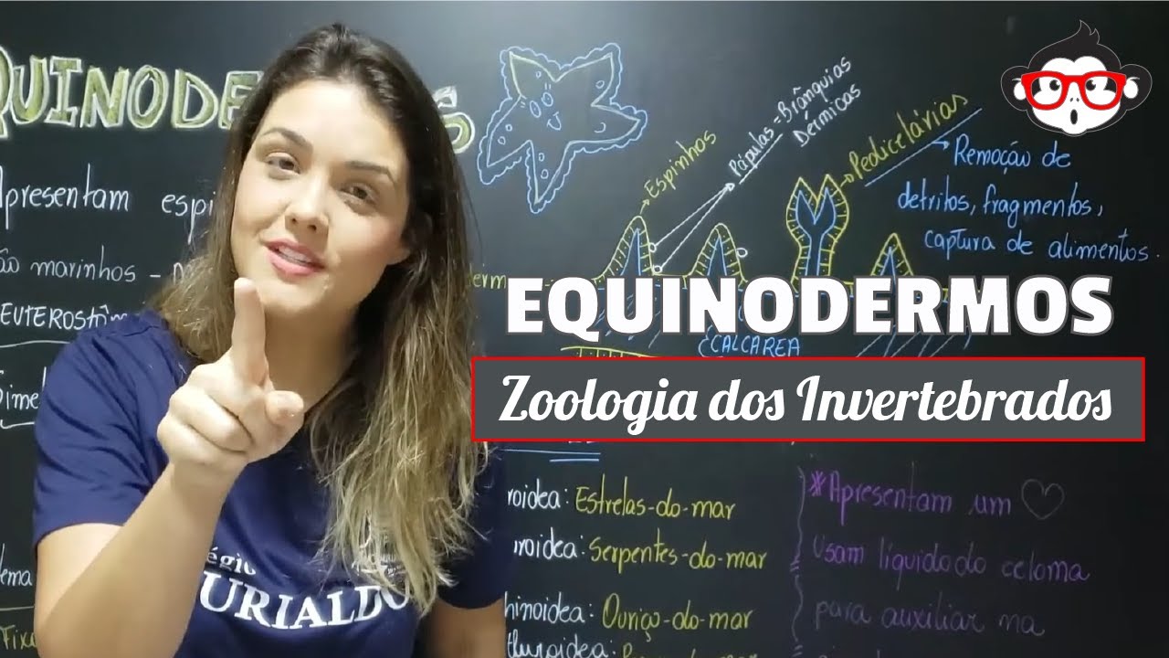 Zoologia dos Invertebrados - EQUINODERMOS 🐵📚