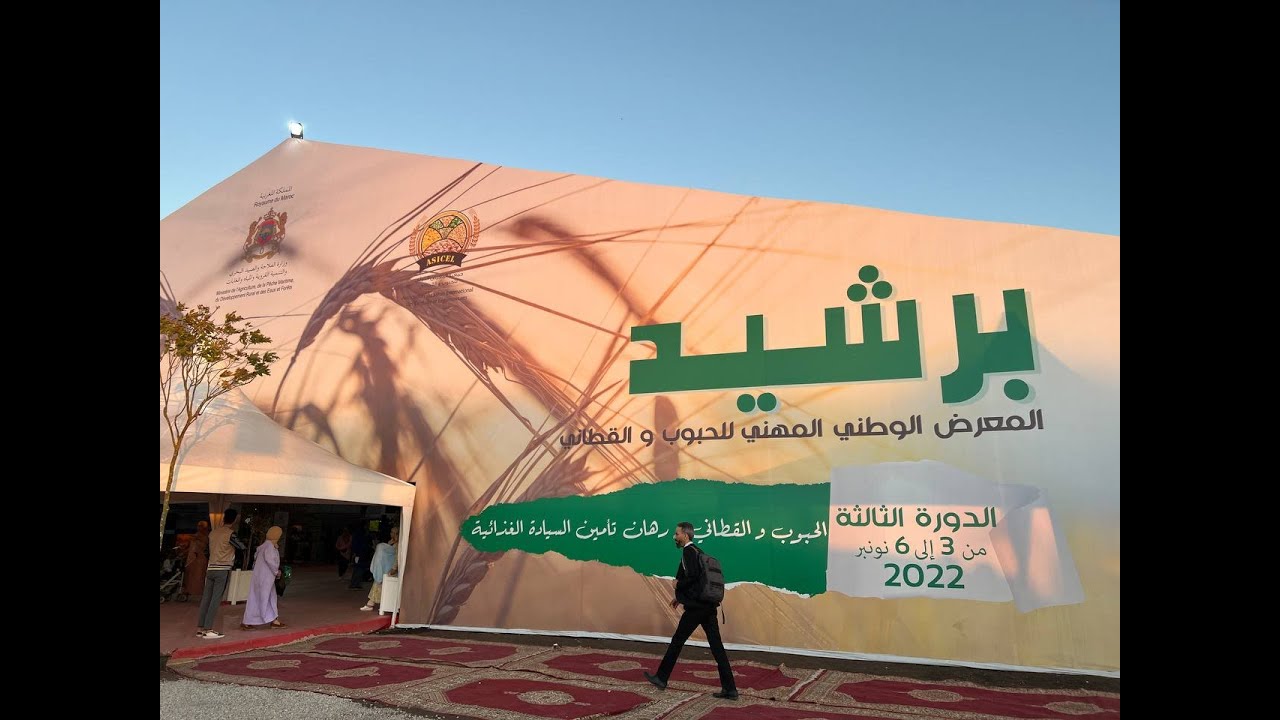 مدينة برشيد تحتضن الفاعلين في قطاع الحبوب والقطاني