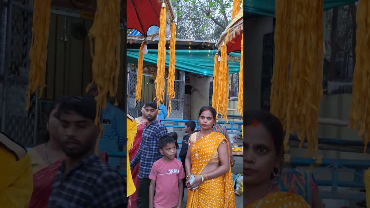 Nandi baba palkhi 🛕🛕🛕🛕🛕