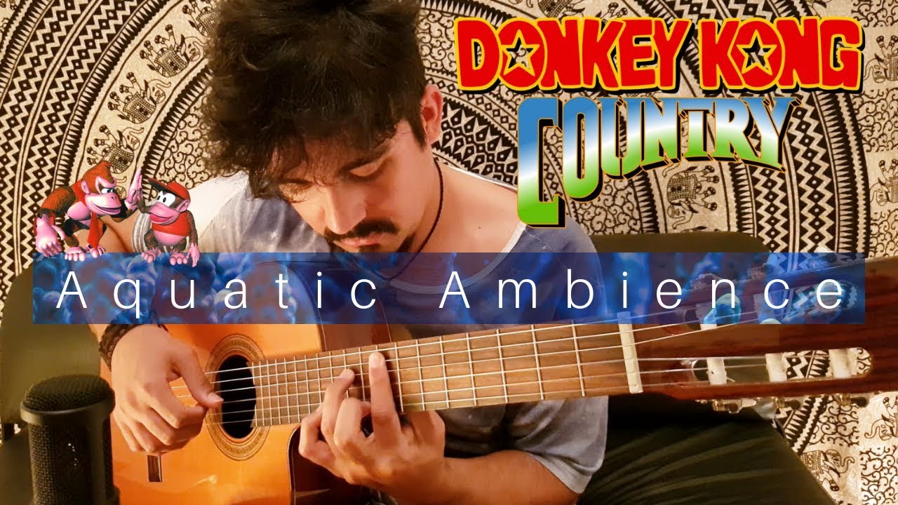Aquatic Ambience (Donkey Kong County) | Classical Guitar Arrangement by Luciano Renan 