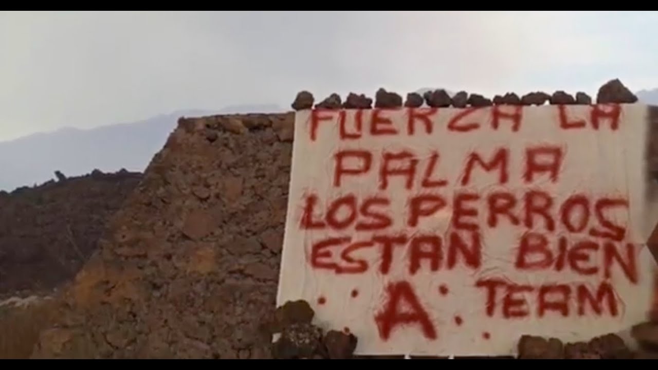 Una misteriosa pancarta donde estaban los perros de La Palma demuestra que han sido rescatados