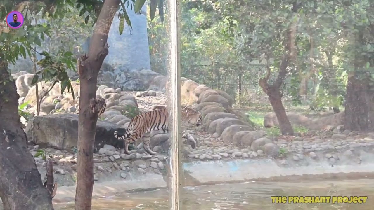 Alipore Zoo Kolkata Full Tour | Animals, Nature & Vlog | Day 1 