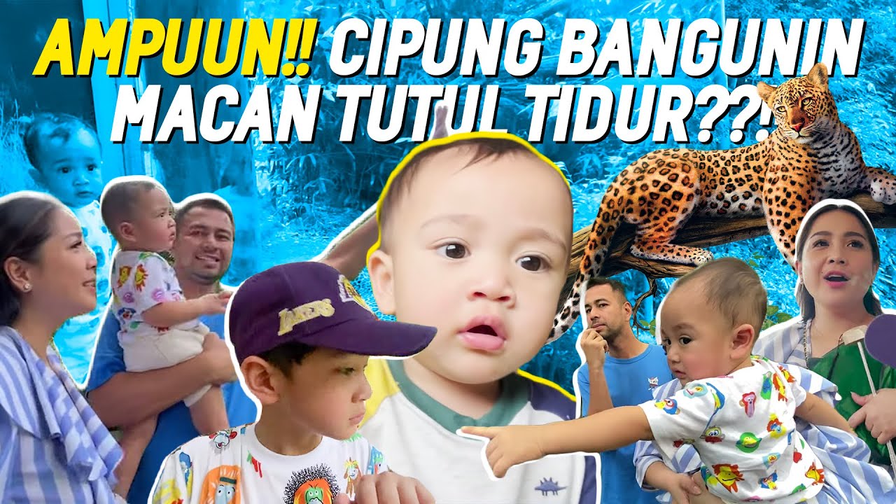 CIPUNG BERANI BANGET SAMA MACAN? RAFFI NGASUH SEHARIAN DI ZOO SINGAPORE! NAGITA &NCUS YANG KETAKUTAN