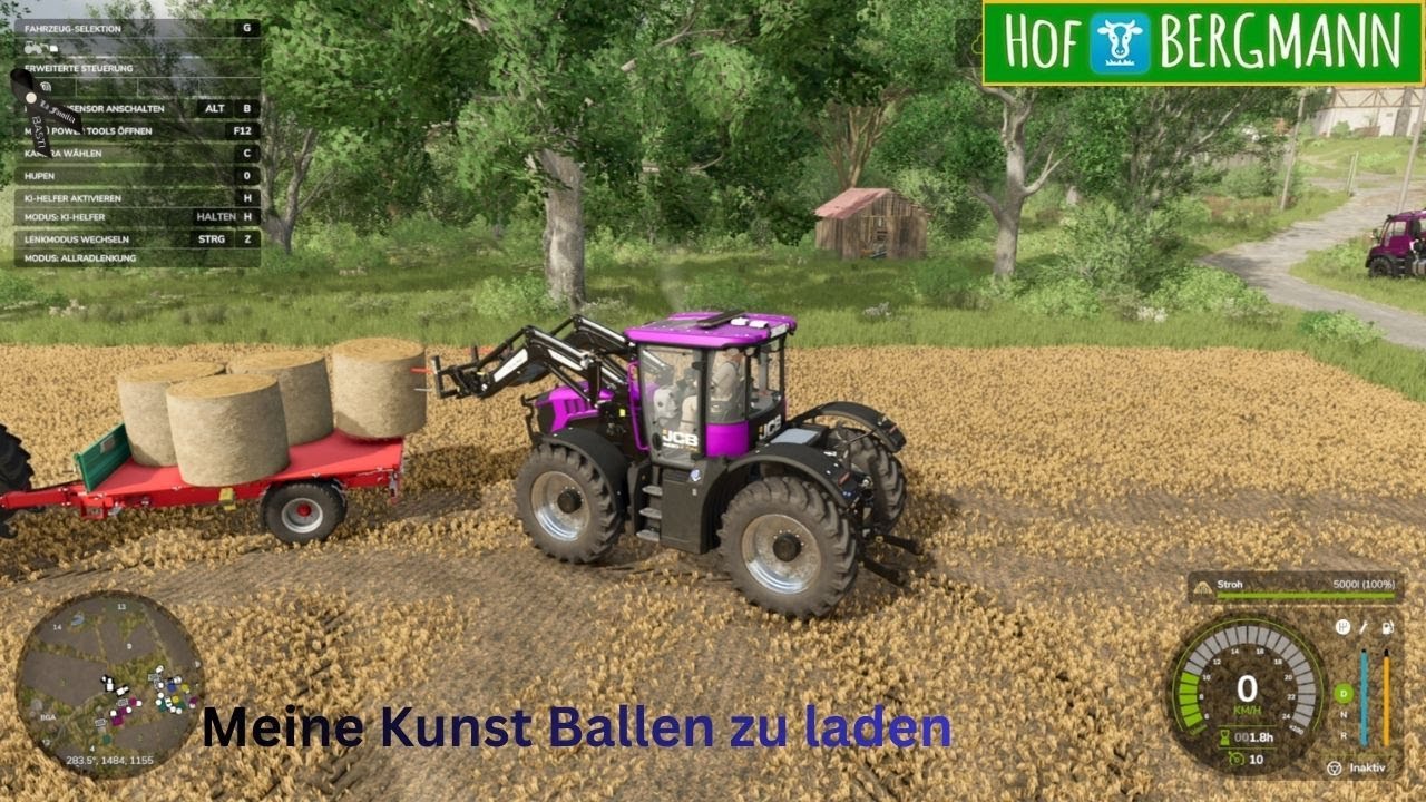 Hof Bergmann #47  Mein Kunst Ballen zu laden