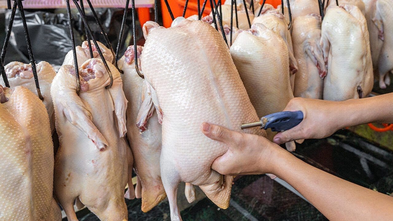 驚人的充氣烤鴨！出爐秒殺的碳火烤鴨三吃 ｜Juicy Peking Duck｜馬沙鴨莊