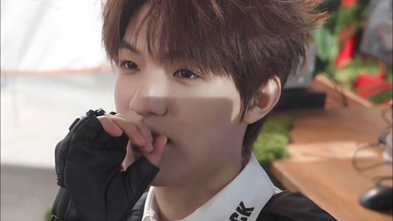 【TOP登陆少年 张泽禹】《TOP登陆少年组合日常角》01‖1080HD[Zhang ZeYu]