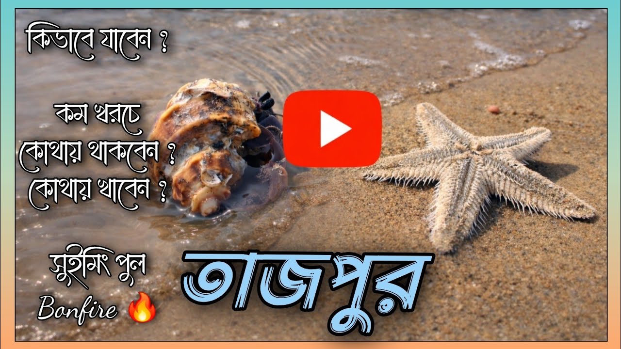 তাজপুরে Budget Friendly Resort & Swimming Pool || Bonfire Night || Starfish Seashell🐚🪸🐠
