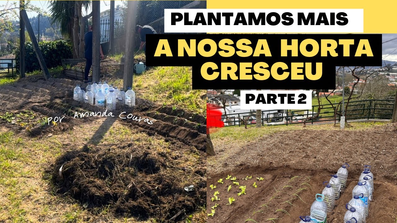 Expandimos nossa horta! Veja tudo que plantamos 🌿✨