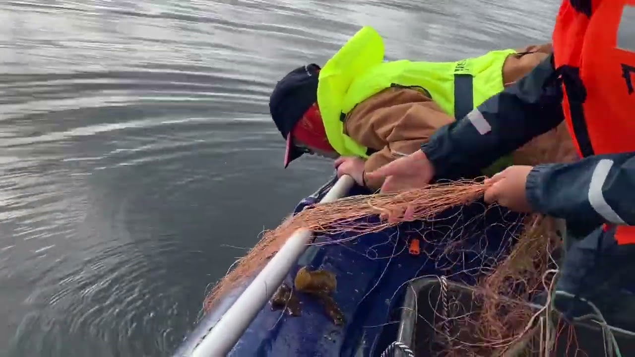 Fiskematten #15 Fiske med garn