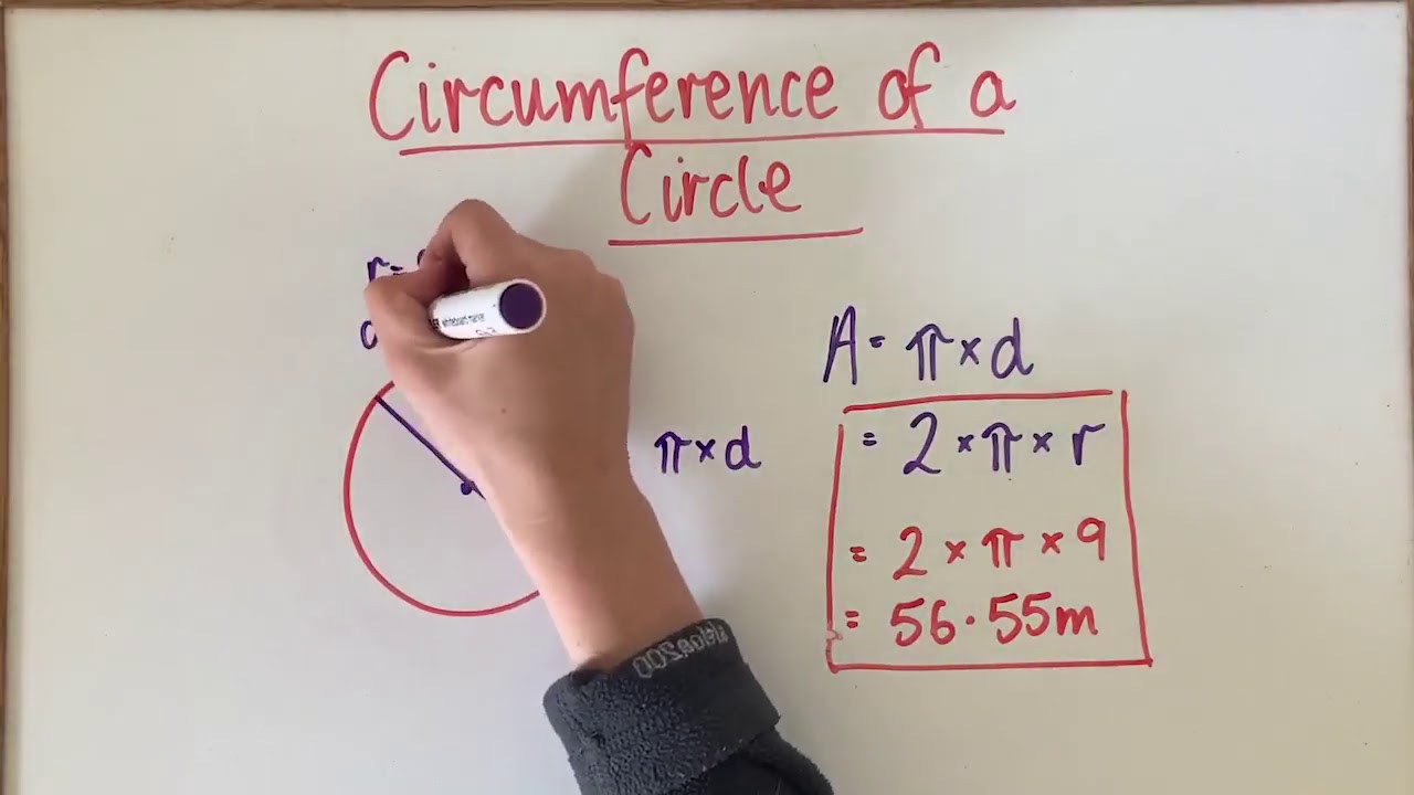 Measurement - Circumference of a Circle