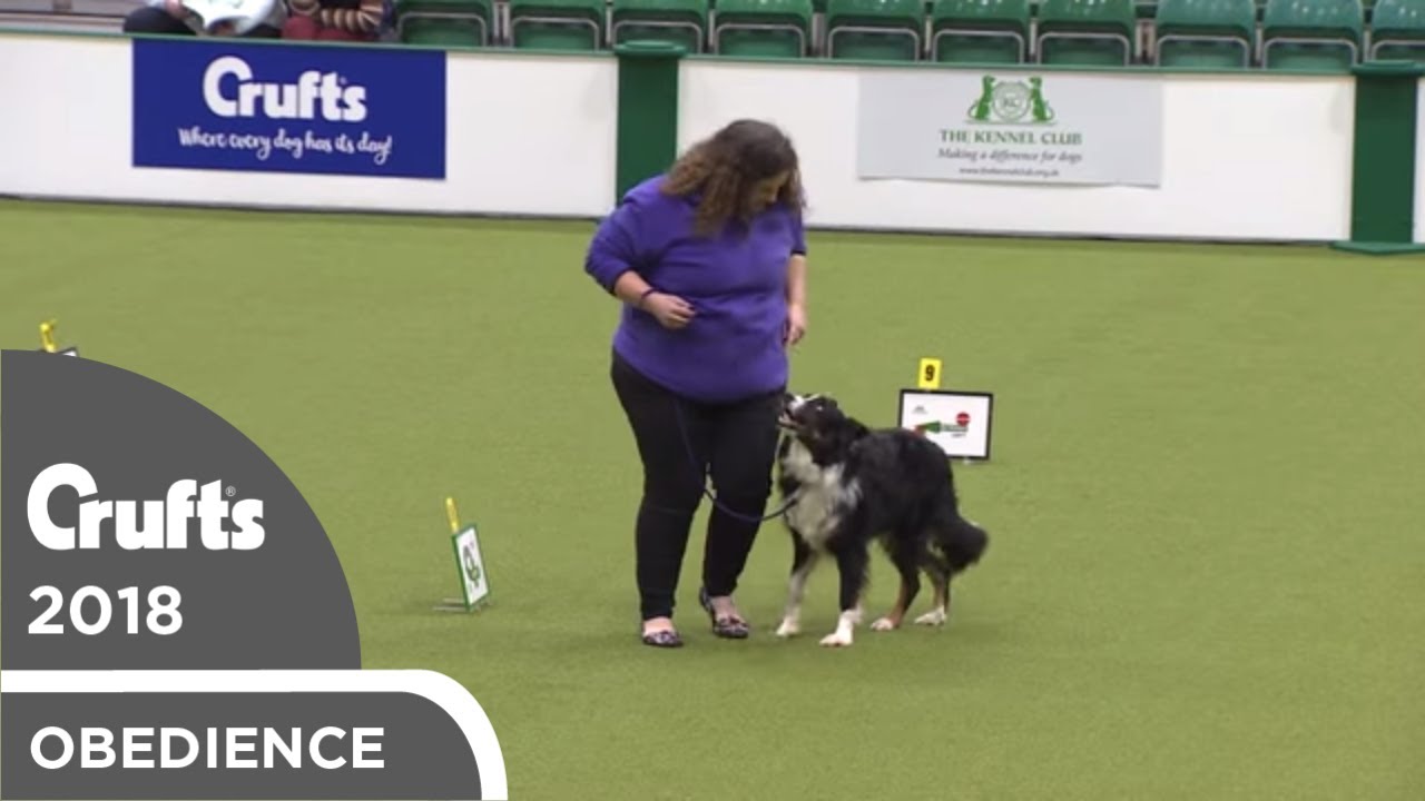 Inter-Regional Rally - Level 2 - Part 1 | Crufts 2018