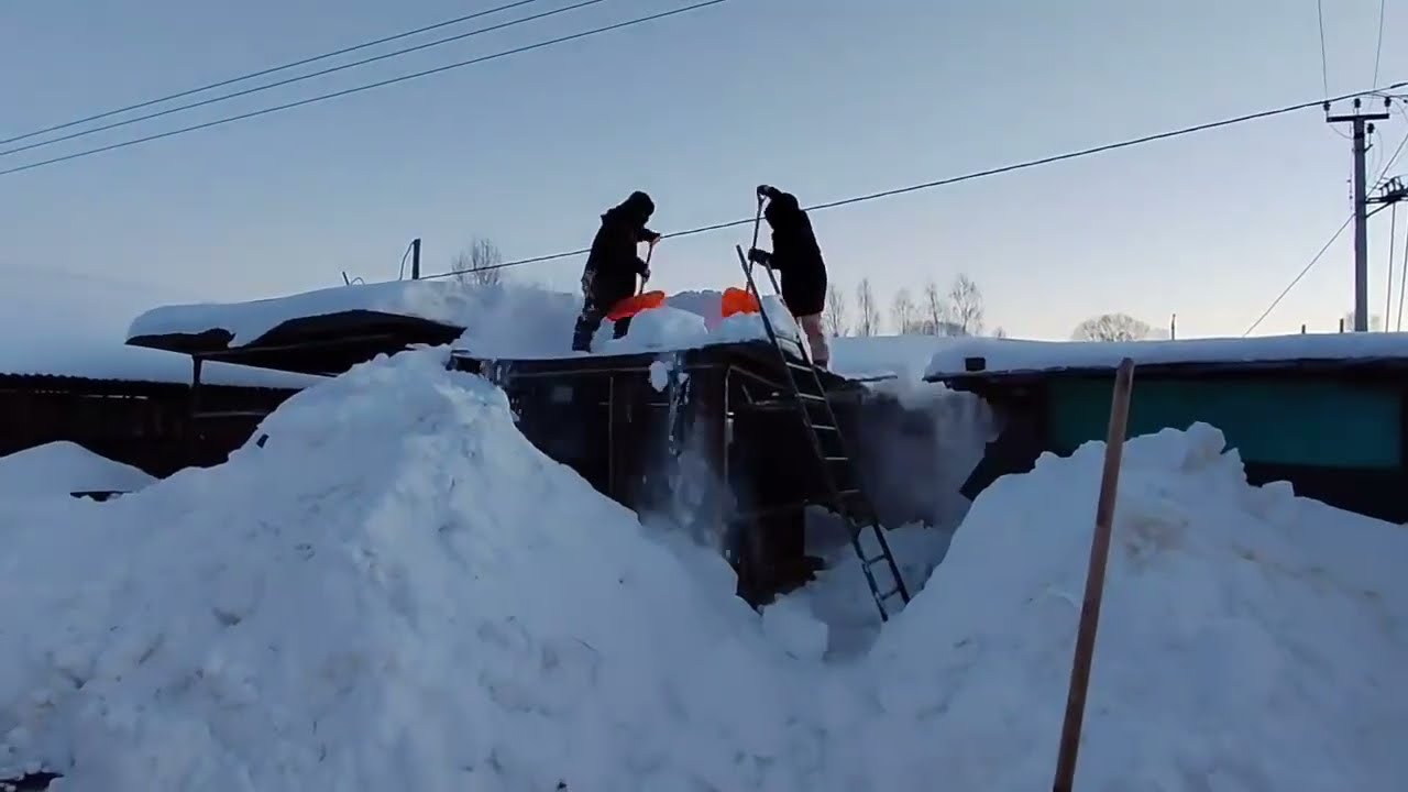 Не знаю КАК НАМ ВЫЖИТЬ?!