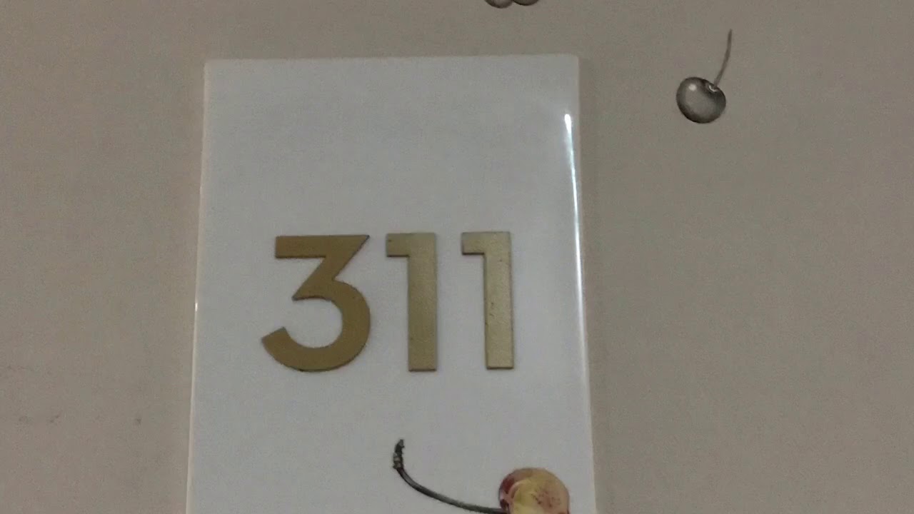 🇵🇹🛎HOTEL MONTEBELO VISTA ALEGRE (Ilhavo, Portugal)