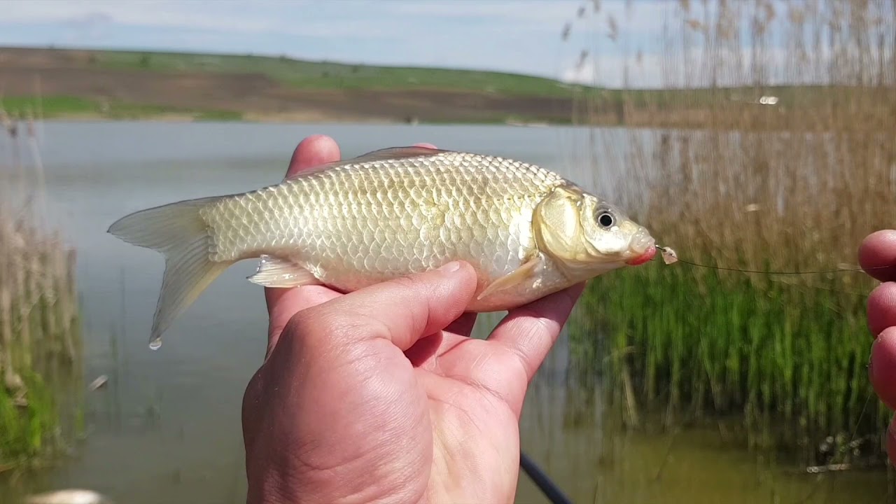 Cu tata la pescuit caras 🐟🇷🇴