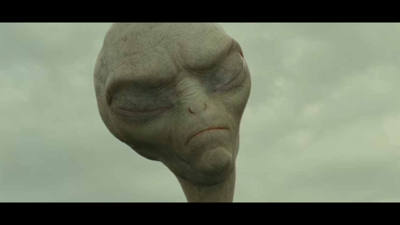 Scena z ptakem / Paul (2011)
