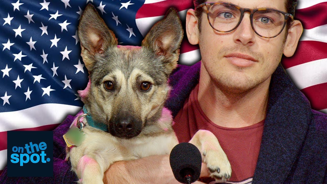 This Dog is Taking American Jobs - On The Spot | Rooster Teeth